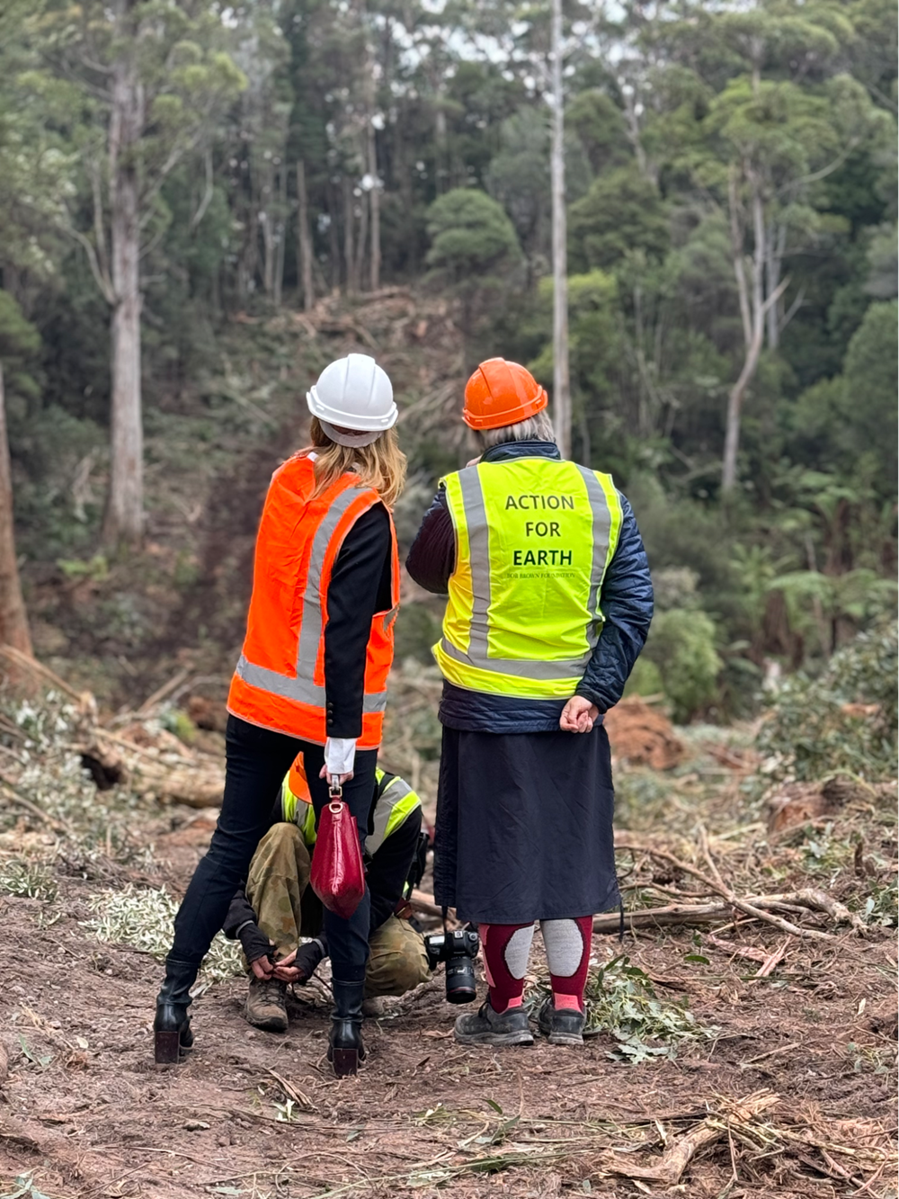 People viewing a forestry coupe in two types of hi-vis. One with the text Action for Earth on the back.